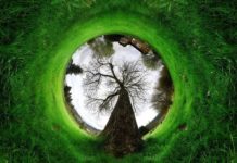 IFA 2015 : Ricoh เปิดตัวกล้อง 360องศารุ่นใหม่