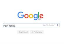 Google เปิดตัวฟีเจอร์ใหม่ “Fun Facts” ไว้เล่นแก้เซ็งยามเหงา