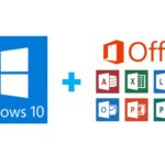 MS 365 02