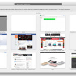 features-safari-1