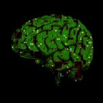 brain-1845944_1280