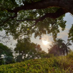 samsung-galaxy-s9-plus-review-0014
