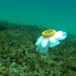 Robot Jellyfish