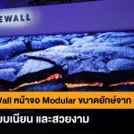 THE-WALL