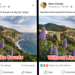 Facebook-Hides-Likes