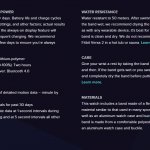 FF Fitbit VS 2 1