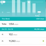 Screenshot_20191020-174727_Fitbit