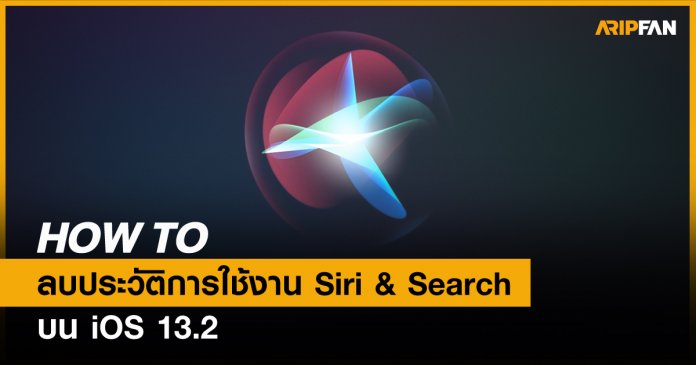 Siri&Search