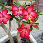 IMG_20191208_163657