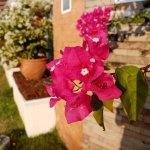 IMG_20191208_165004
