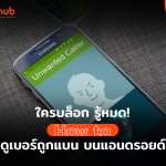 HOWTO-BLOCK-NO-WEB