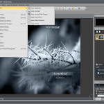 Photo-Pos-Pro_5