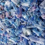 Project Stop_Plastic Bottles