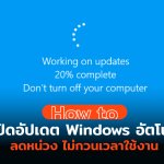 WEB1