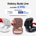 Holiday Promo_Budslive