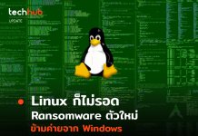 Linux ก็ไม่รอด Ransomware ตัวใหม่ ข้ามค่ายจาก Windows
