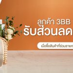 1920×754-Basketeer