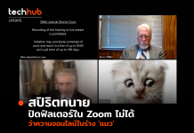 สปิริตทนาย ปิดฟิลเตอร์ใน Zoom ไม่ได้ ว่าความออนไลน์ในร่าง ‘แมว’