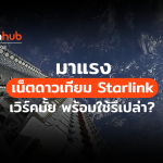 STARLINK-WEB