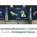 OPPOEndangered Colours (1)