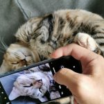 Redmi Note 10S PR Scoop (2)