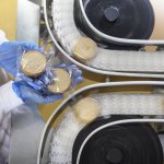 Overhead view of worker inspecting biscuits on production line in food factory