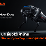 CYBERDOG-WEB