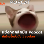 popcat-web