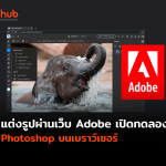 ADOBE-WEB