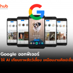 GOOGLE-ANIMAL-WEB
