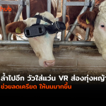 COW-VR-WEB (1)
