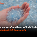 PLASTIC-WEB