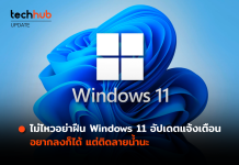 Windows 11