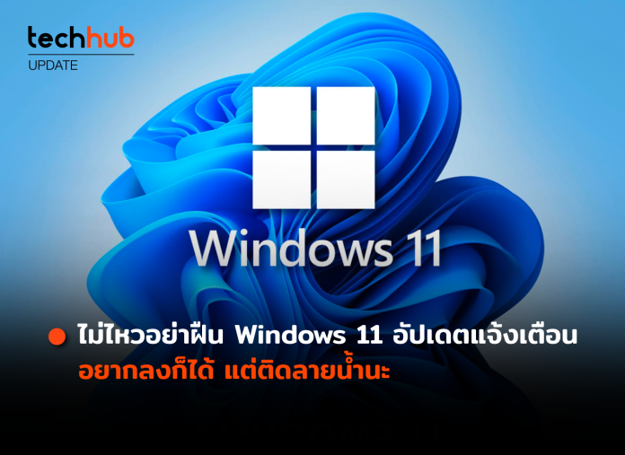 Windows 11