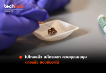 ไปไกลแล้ว เนโครบอท ควบคุมแมงมุม ตายแล้ว ยังขยับขาได้ เนโครบอท