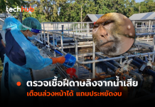 ไทยสู้กลับ ตรวจเชื้อฝีดาษลิงจากน้ำเสีย เตือนล่วงหน้าได้ แถมประหยัดงบ