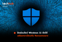 Windows 11