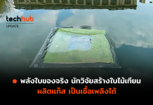 พลังใบของจริง นักวิจัยสร้าง ใบไม้เทียม ผลิตแก๊ส เป็นเชื้อเพลิงได้ ใบไม้เทียม