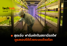 ฟาร์มผักอัจฉริยะ