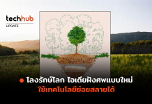 โลงรักษ์โลก