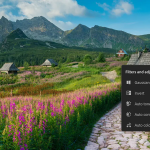 Auto Tone, Color and Contrast