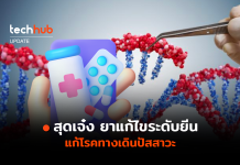 ยาแก้ไขระดับยีน