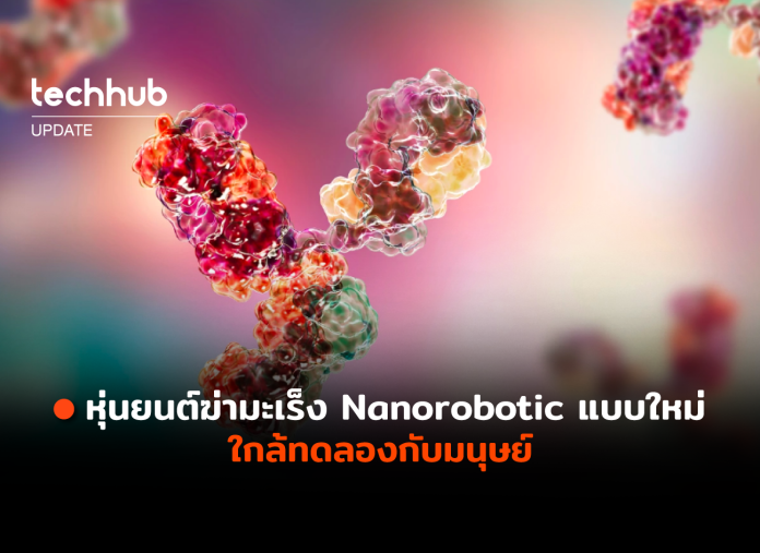 Nanorobotic