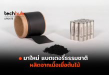 มาใหม่ แบตเตอรี่ธรรมชาติ ผลิตจากเนื้อเยื่อต้นไม้