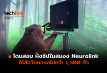Neuralink โดนสอบ กรณีฝั่งชิปในสมอง ใช้สัตว์ทดลองไปกว่า 1,500 ตัว