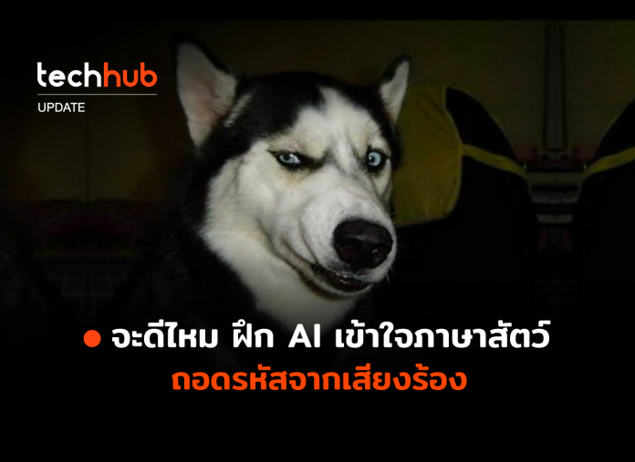 AI เข้าใจภาษาสัตว์