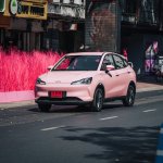 NETA V PINK