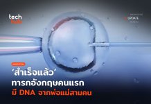 DNA จากพ่อแม่สามคน