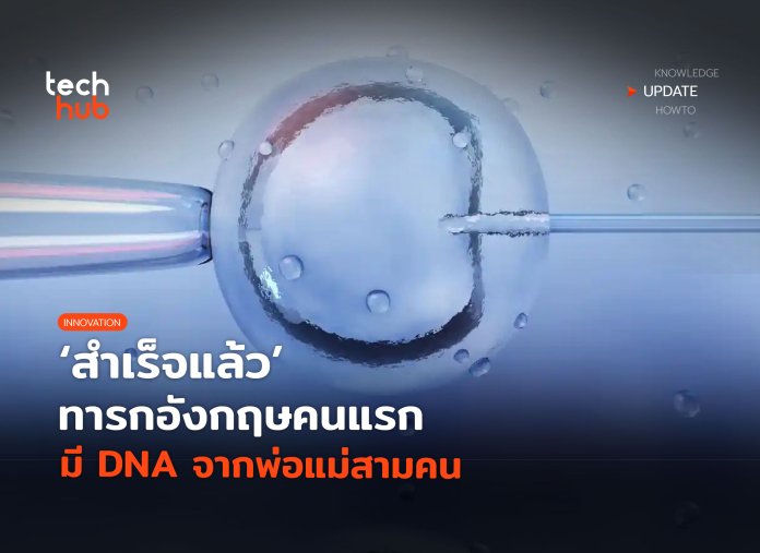 DNA จากพ่อแม่สามคน