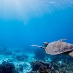 d654164b-f6b8-4c1d-900719bd962c155d.l_2x1-e1686224481628